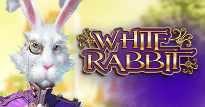 White Rabbit at ICE